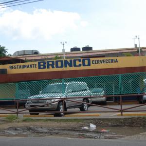 Bronco Steaks