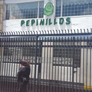 Pepinillos